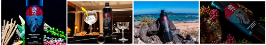 Ginebra GIN72 Super Premium TuCanarias