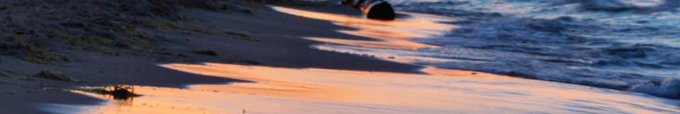 Ron Artemi Oro TuCanarias