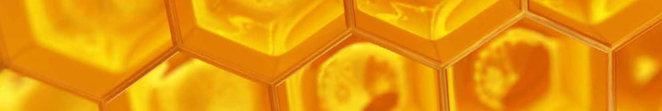 Ron Miel Artemi TuCanarias