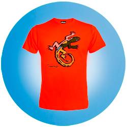 Camisetas